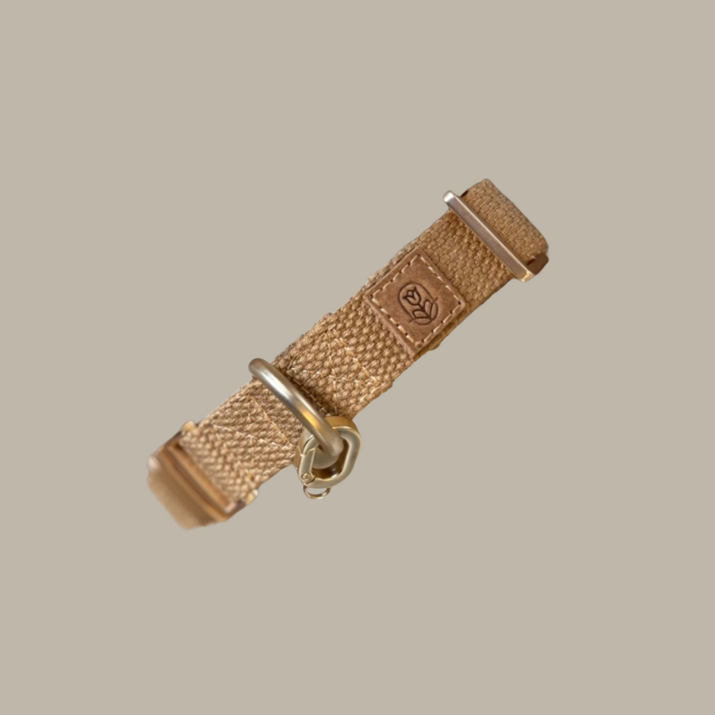 Tan Dog collar