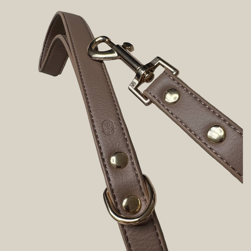 Mocha dog lead