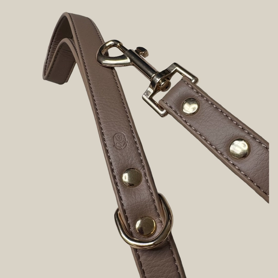 Mocha dog lead