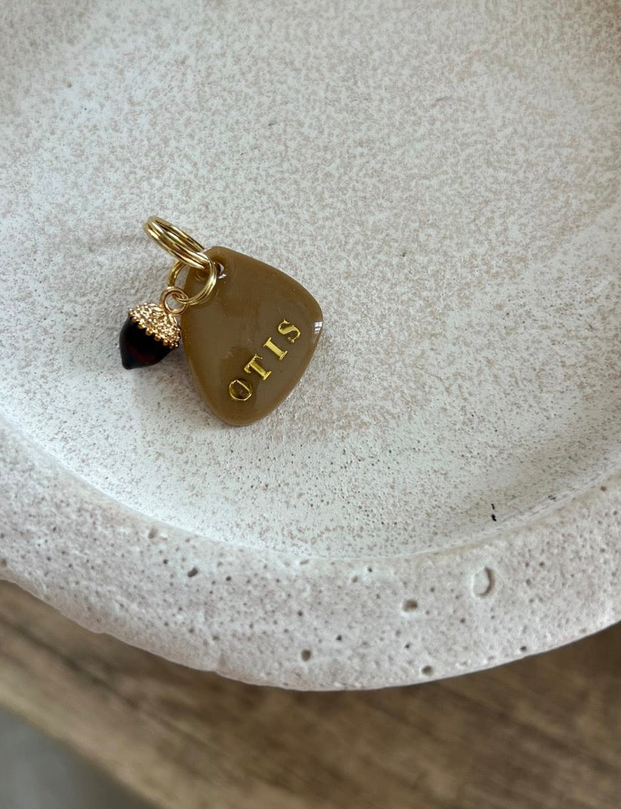 Hazel Acorn ID tag