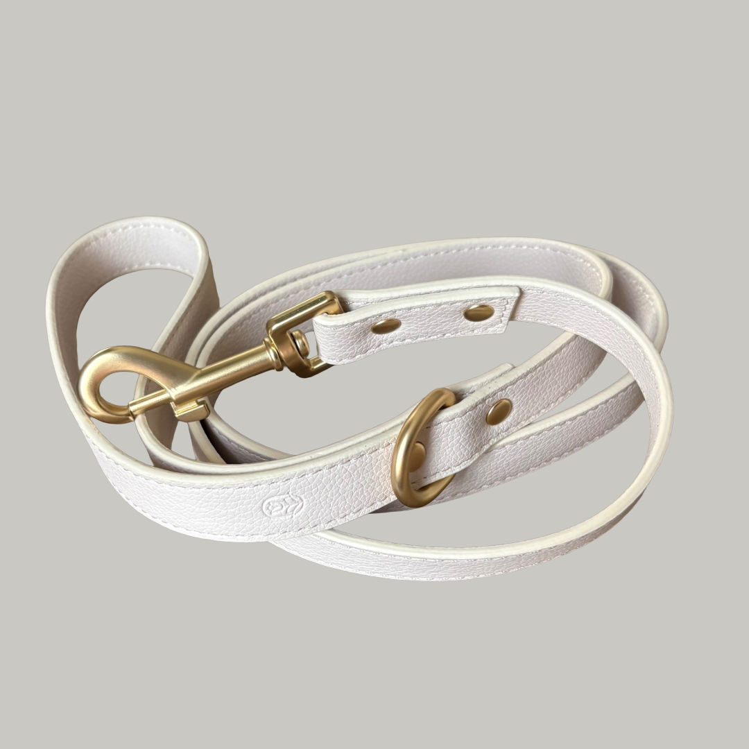 Coconut Milk Dog Lead