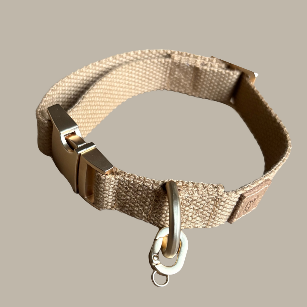 Tan Dog collar