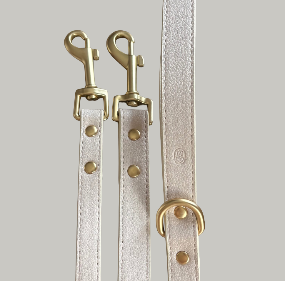 Coconut Milk Dog Lead