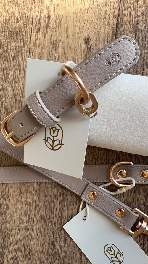 Hearthstone dog collar