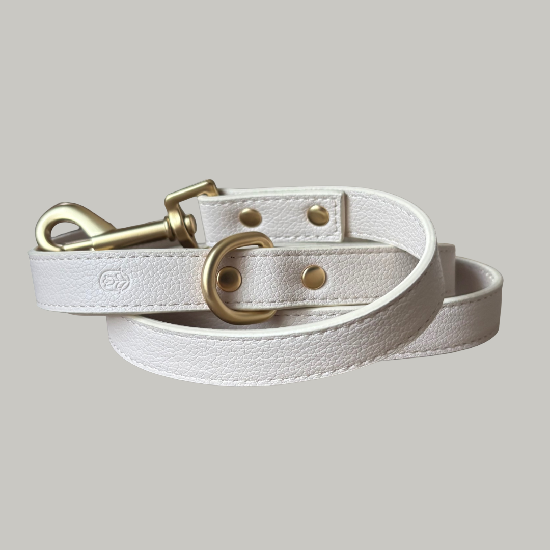 Coconut Milk Dog Lead
