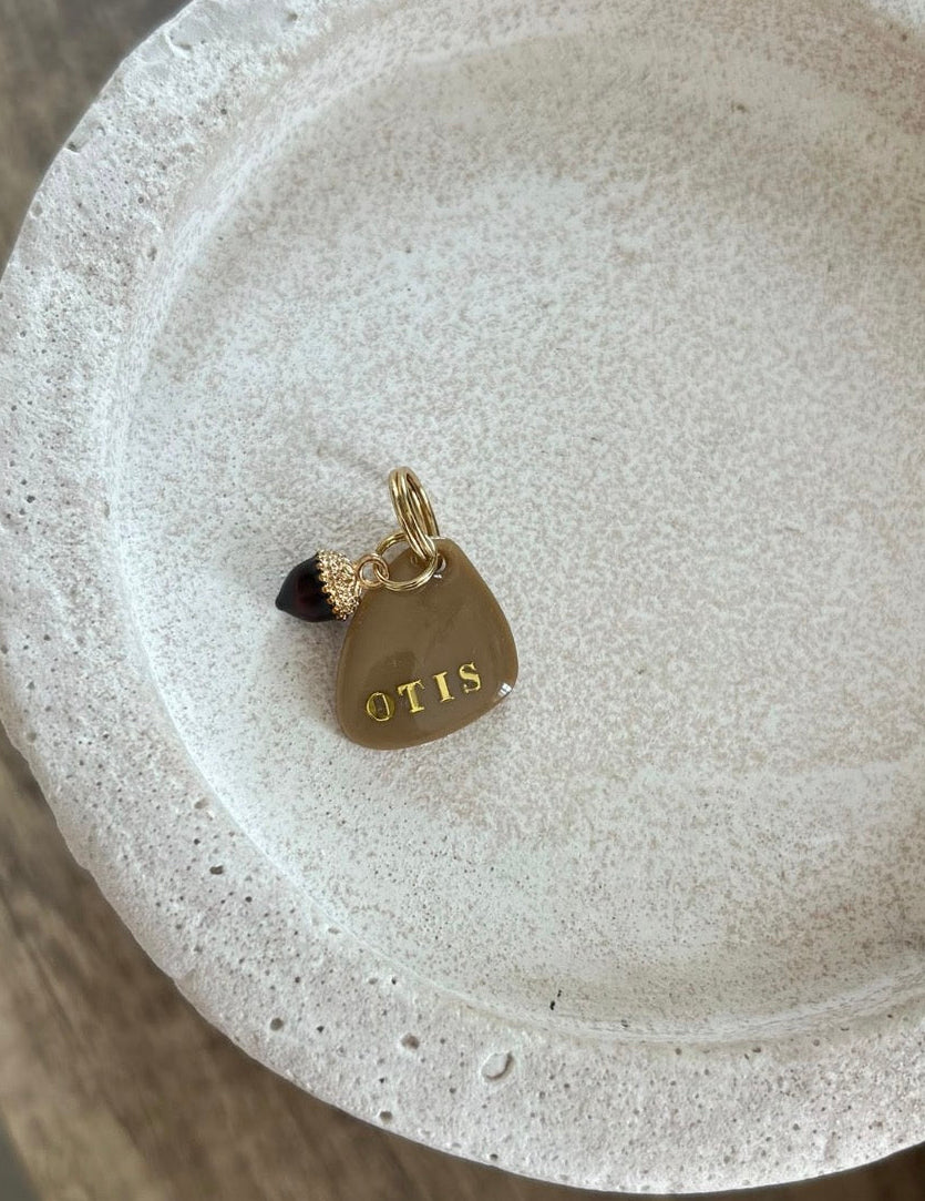 Hazel Acorn ID tag