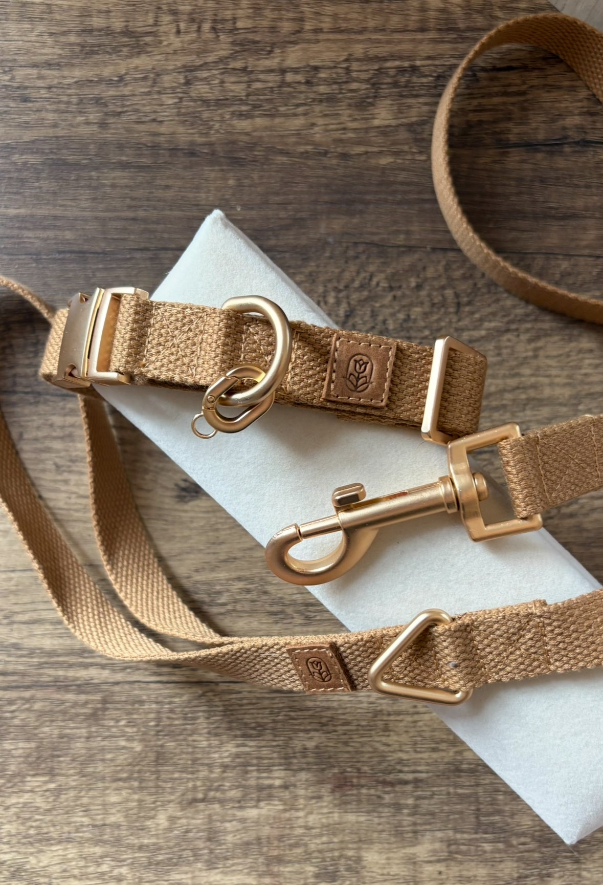 Tan Dog lead