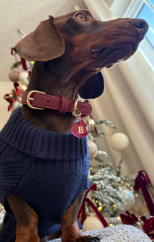 Burgundy Collar
