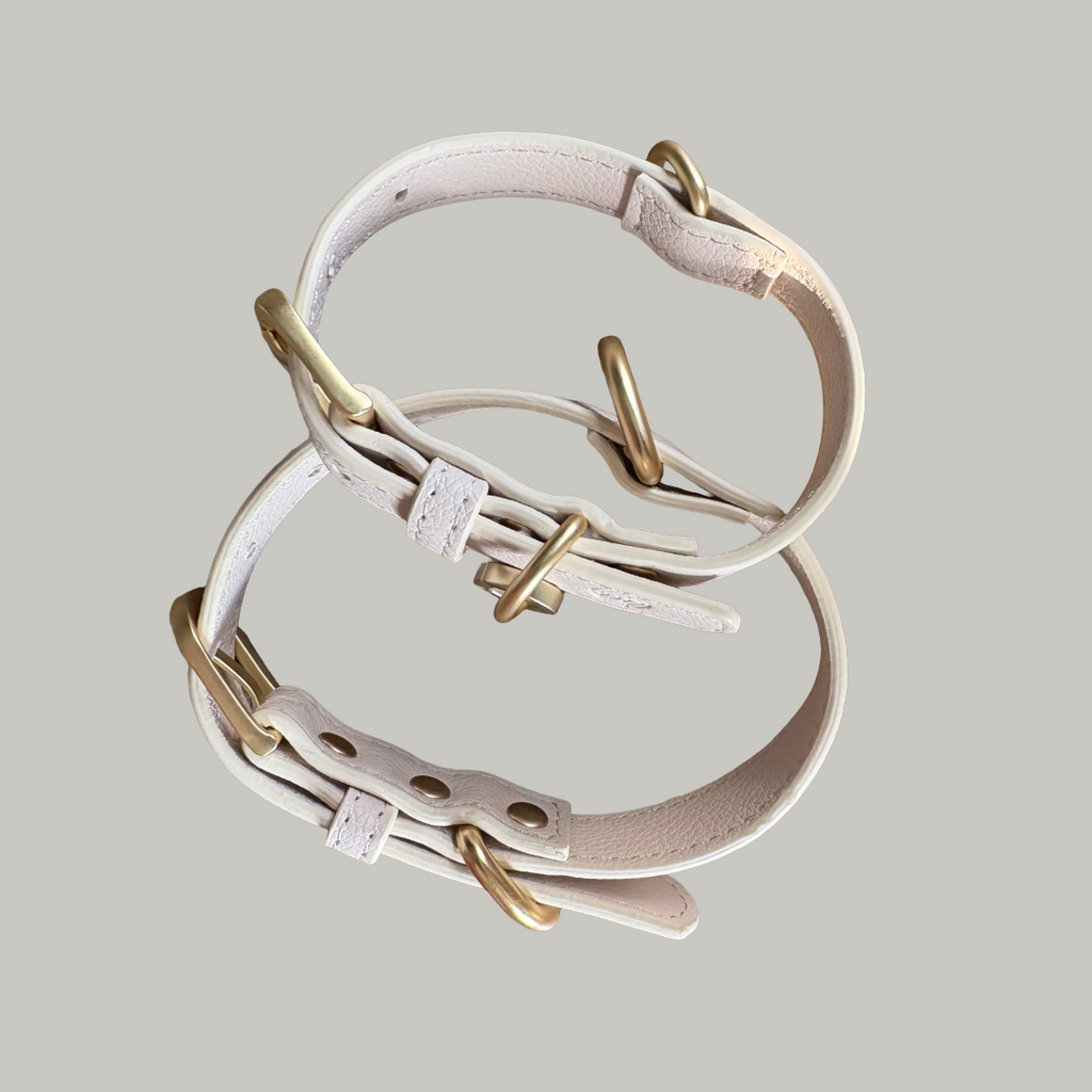 Coconut Milk Dog Collar