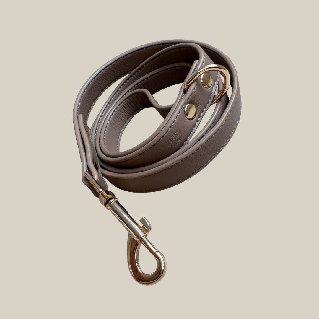 Mocha dog lead