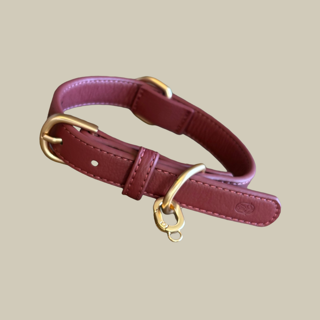 Burgundy Collar