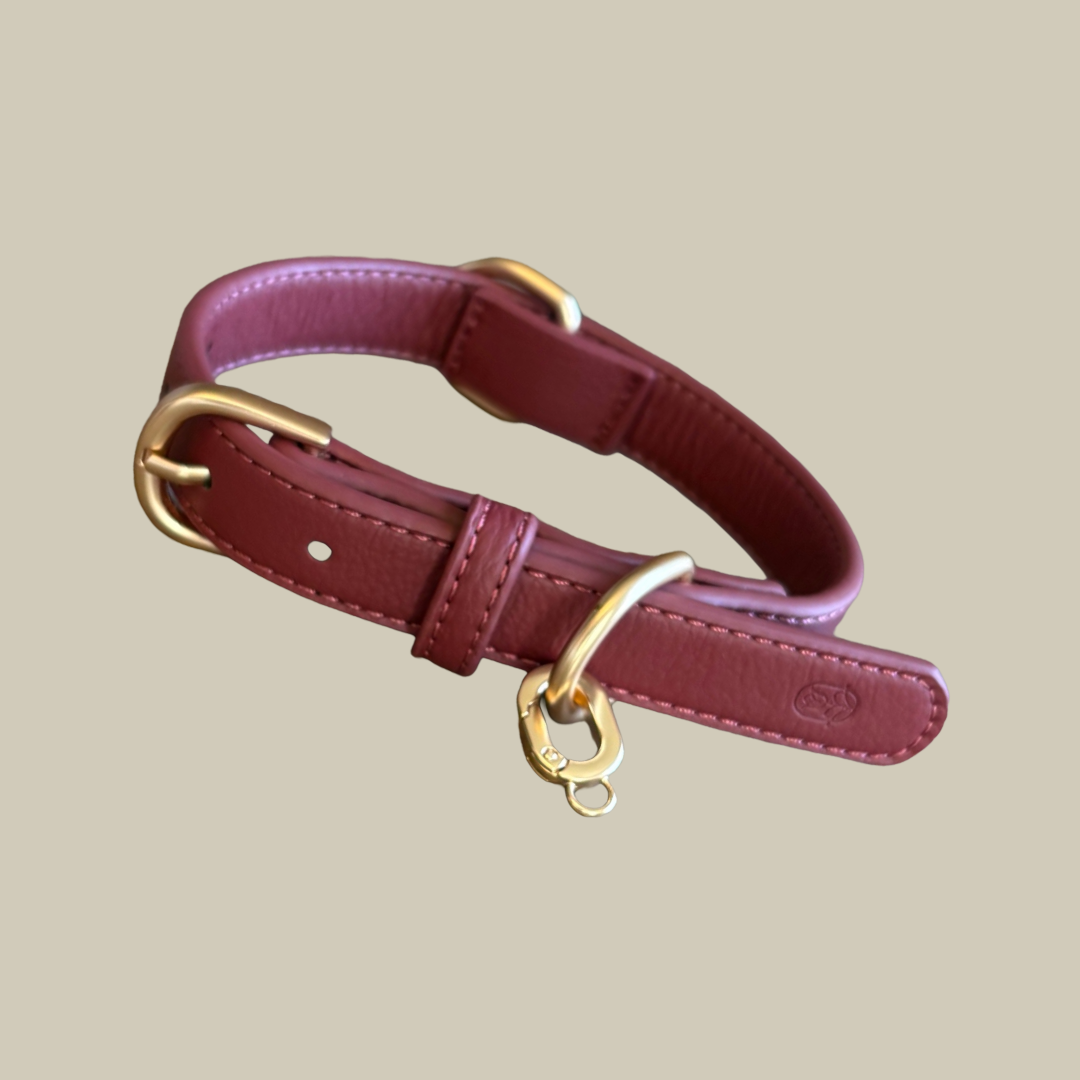 Burgundy Collar