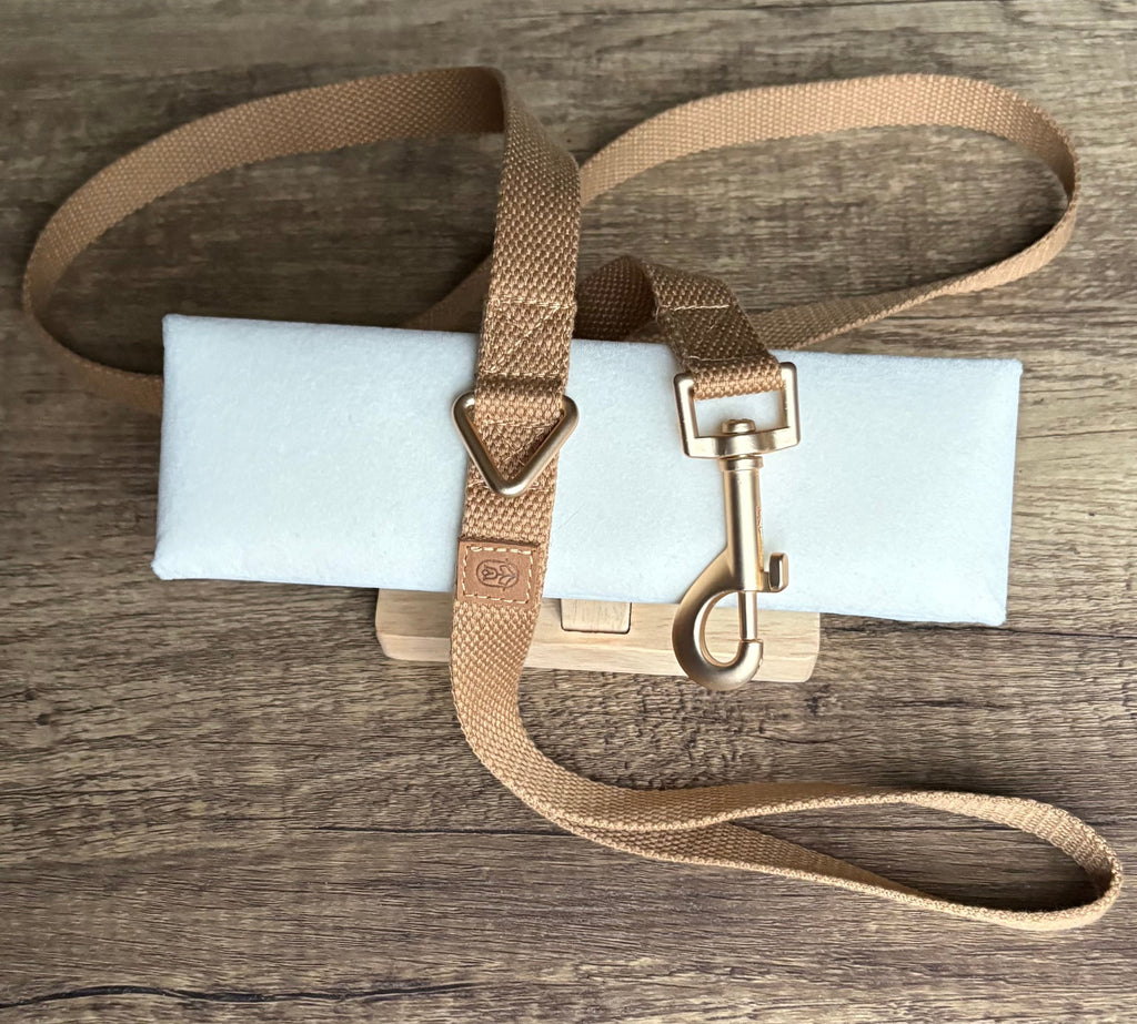 Tan Dog lead
