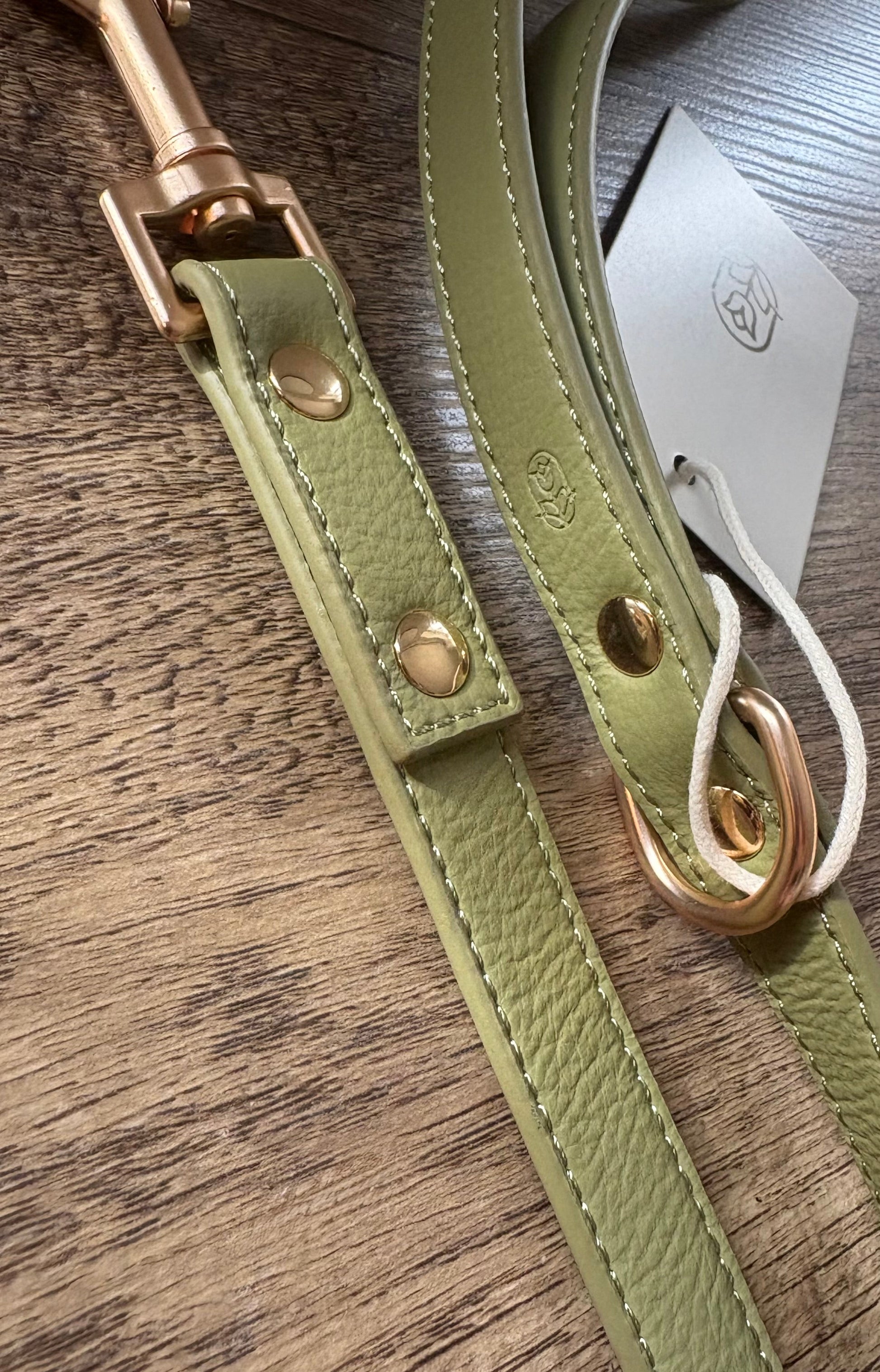 Olive dog lead
