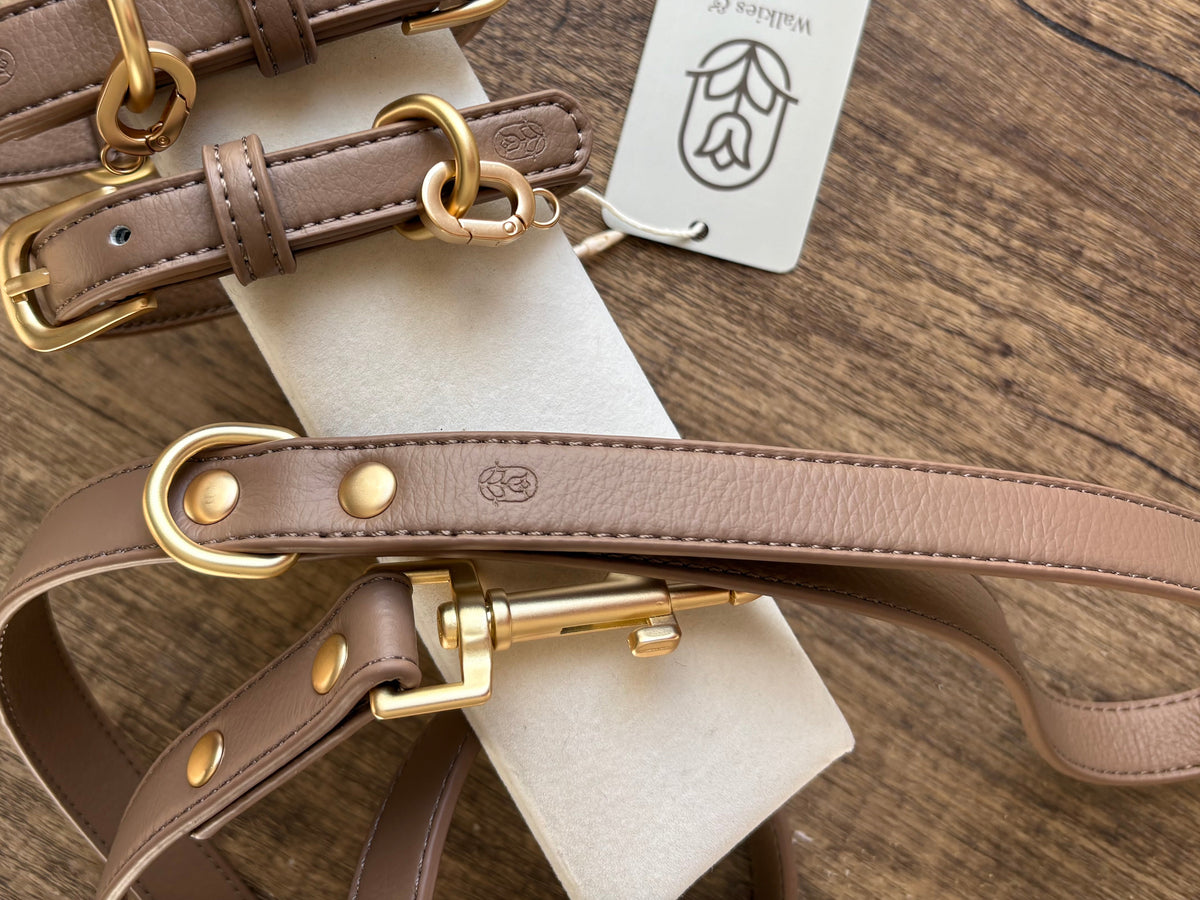 Truffle leather dog lead