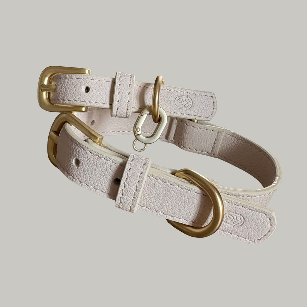 Coconut Milk Dog Collar