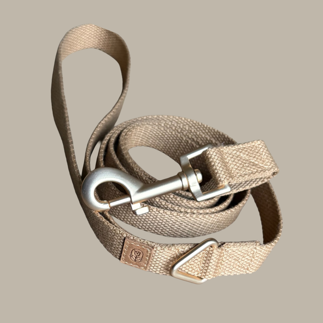 Tan Dog lead