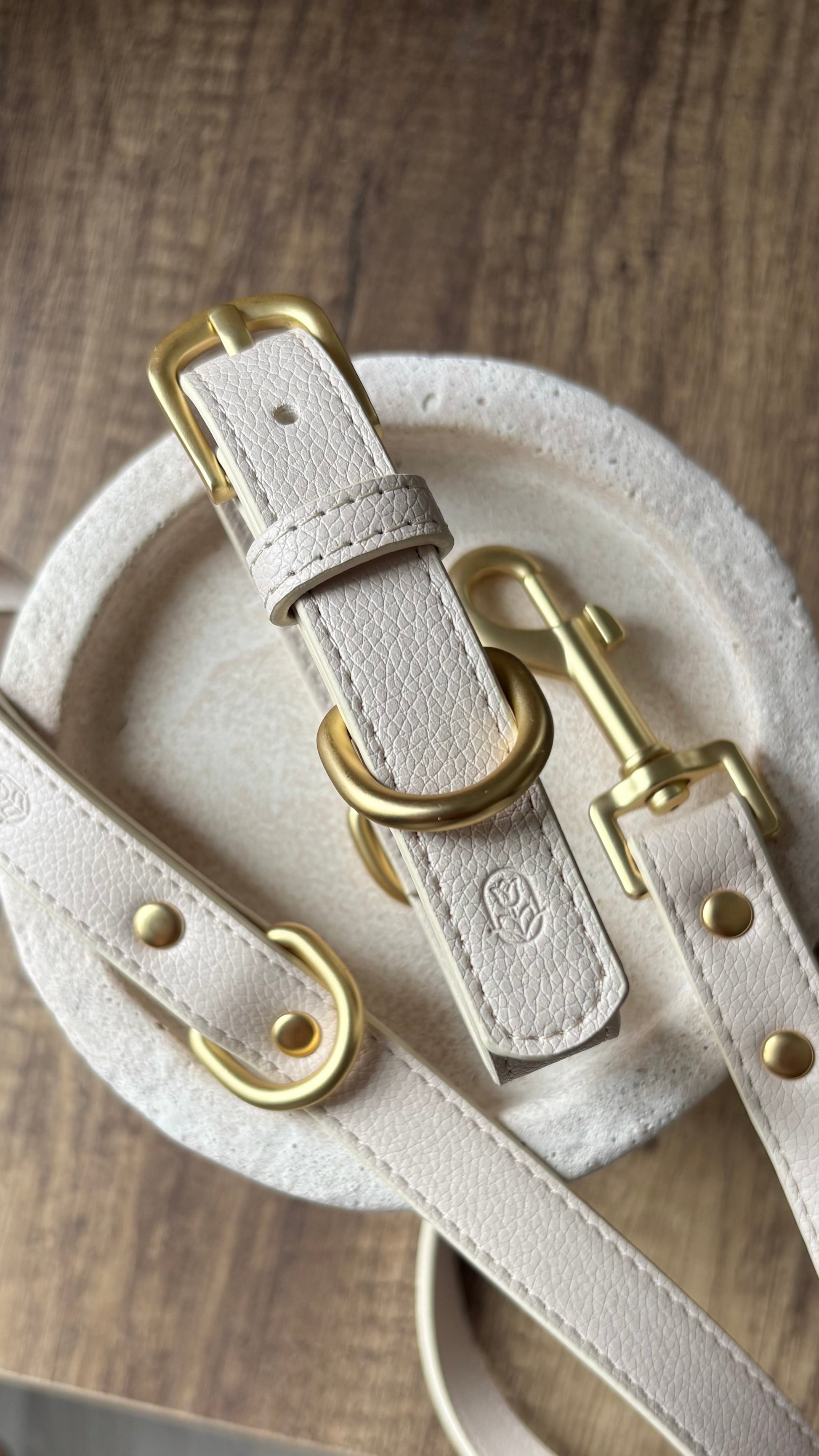 Coconut Milk Dog Lead