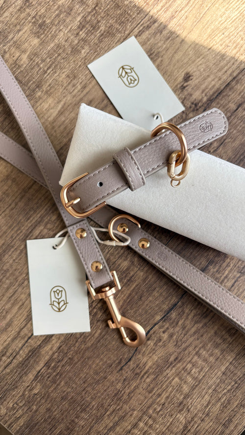 Hearthstone dog collar