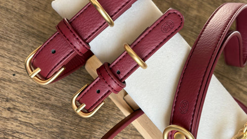 Burgundy Collar
