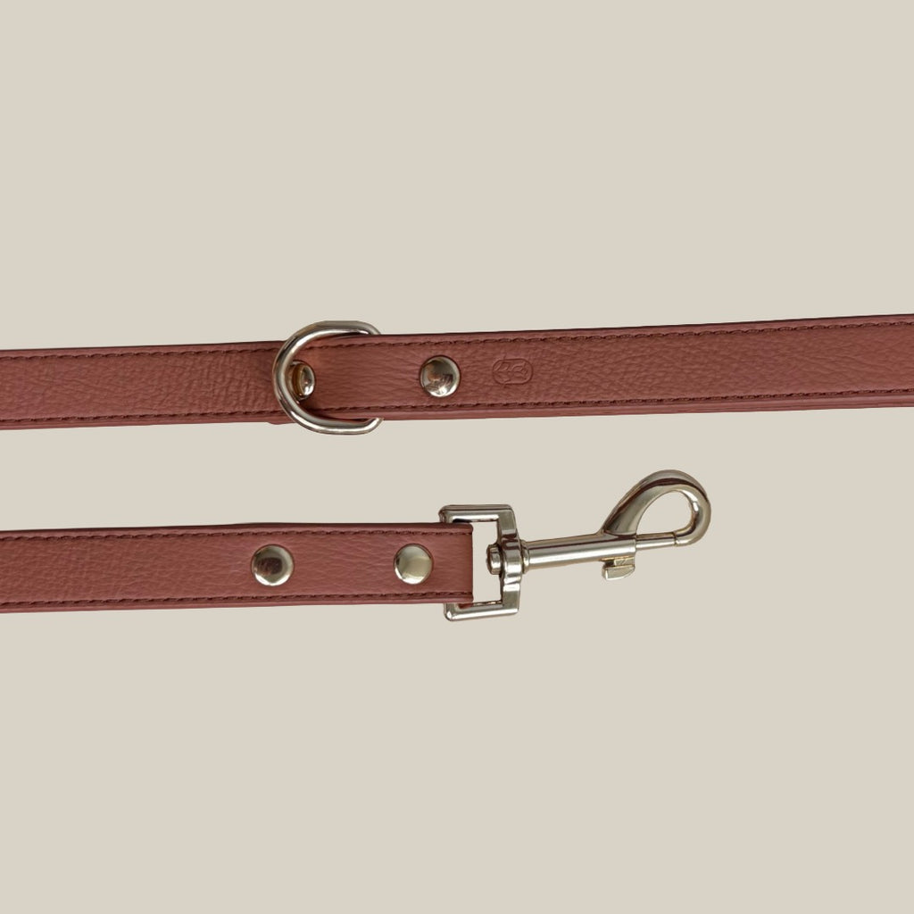 Burnt umber Dog lead