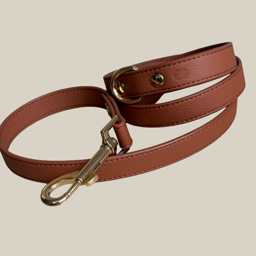 Burnt umber Dog lead