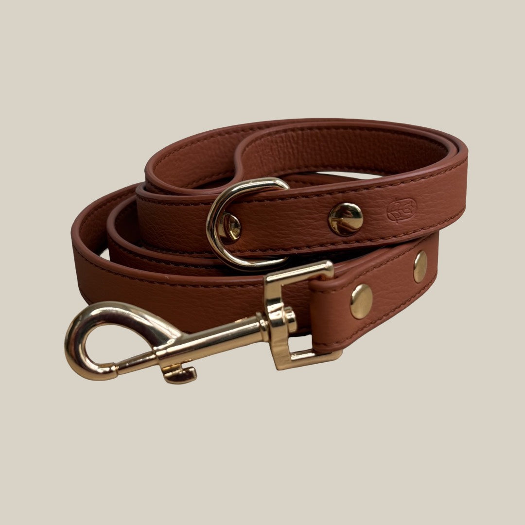 Burnt umber Dog lead